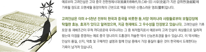 인삼의유래